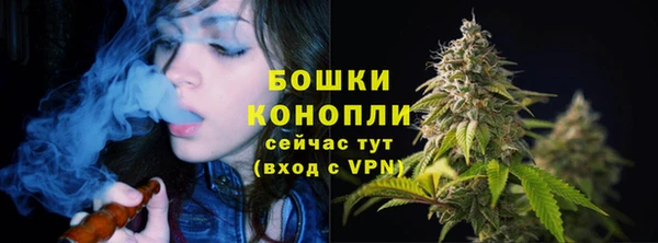 дурь Аркадак