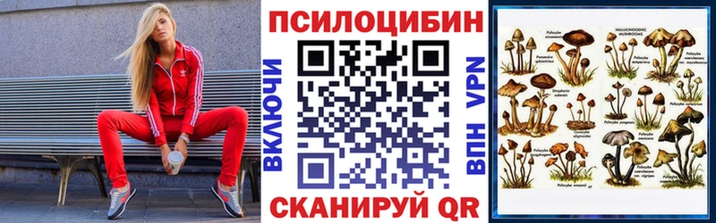 Галлюциногенные грибы Magic Shrooms Слободской